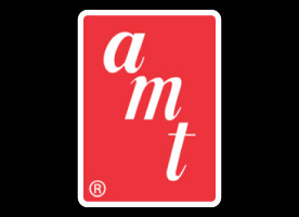Amt Plastic Kits