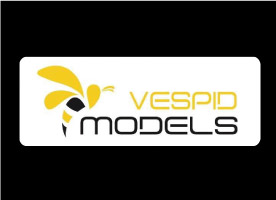 Vespid Models Kits