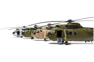 AIR 11008-V1