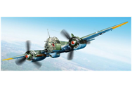 ICM 48232-V1