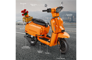 REO 11036-V8