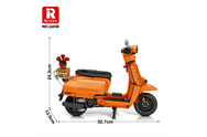 REO 11036-V9