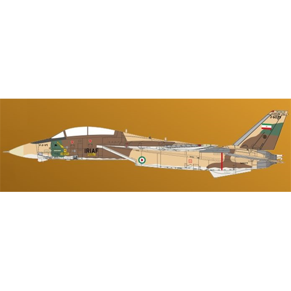 F-14A IRIAF 1980 Classic Cats