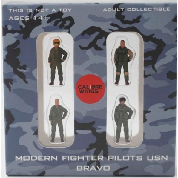 Modern Fighter Pilots USN Bravo