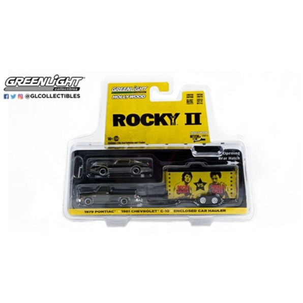 Chevrolet C-10 Custom Deluxe w/Rockys 1979 Pontiac Firebird Trans Am Rocky II 1981