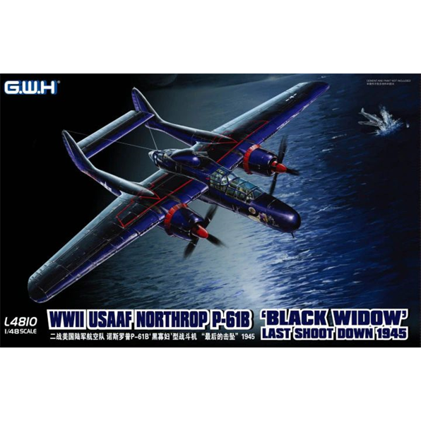 P-61B Black Widow WWII USAAF Northrop