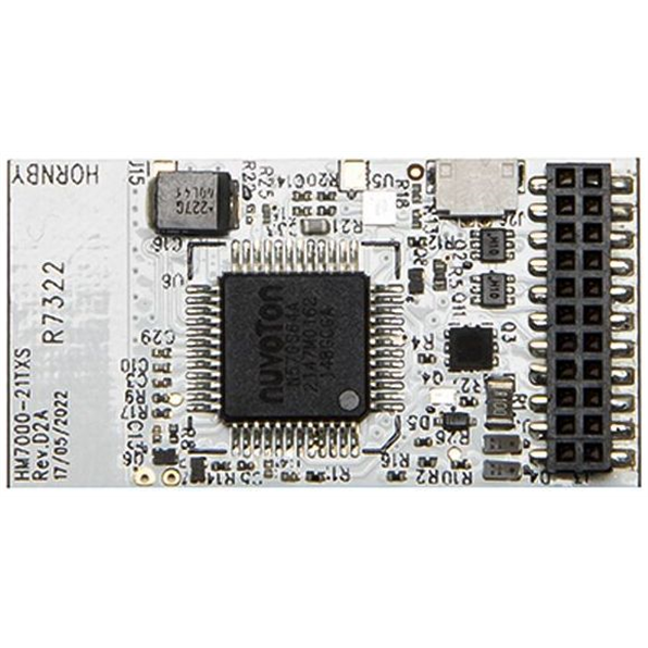 HM7000 - 21TXS - BLE decoder (21 Pin - TXS