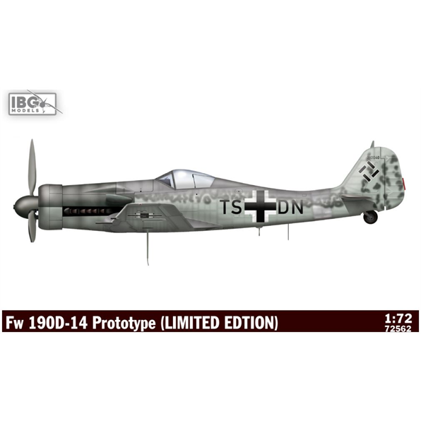 FW 190D-14 Prototype (Limited Edition)