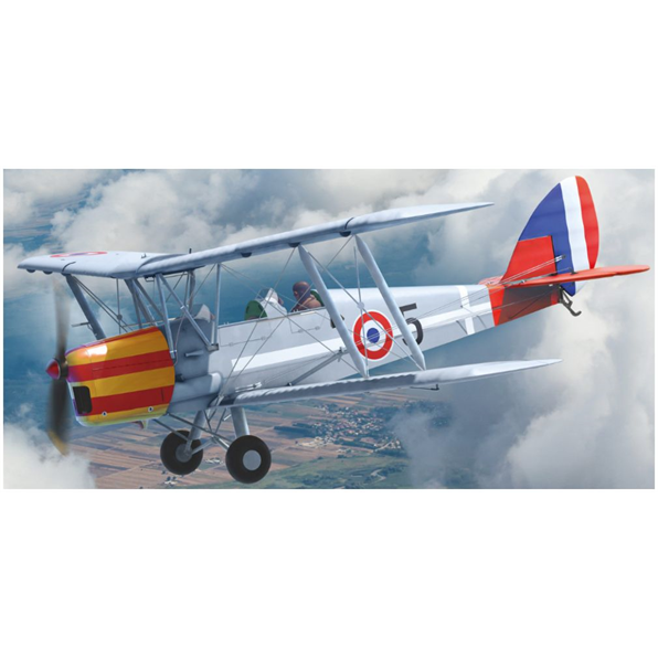 DH.82A Tiger Moth of the World Air Forces