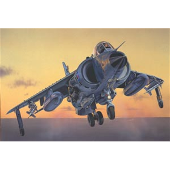 Sea Harrier Frs.1