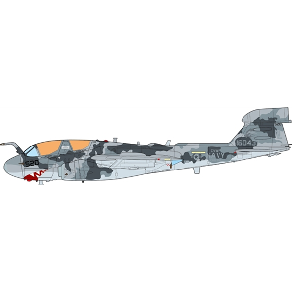 EA-6B Prowler U.S. Navy VAQ-142 Gray Wolves Afghanistan 2006