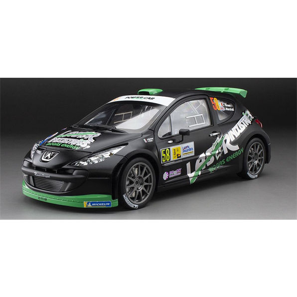 Peugeot 207 S2000 #58 C.Breen/S.Marshall Monza Rally Show 2013 (Limited 999pcs)