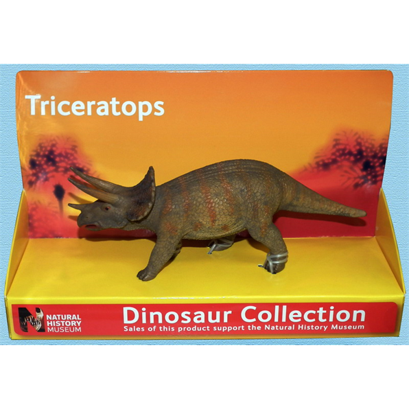 Triceratops