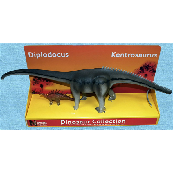 Diplodocus and Kentrosaurus