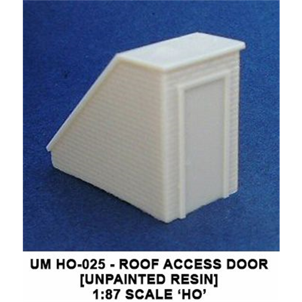 Roof access Door