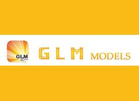 GLM - Great Limousine Models