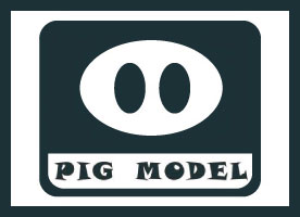 Pig Models