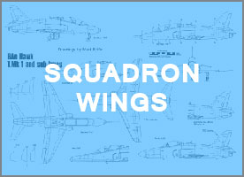 Squadron Wings