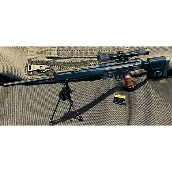 PSG-1 Semi-Auto Automatic Rifle