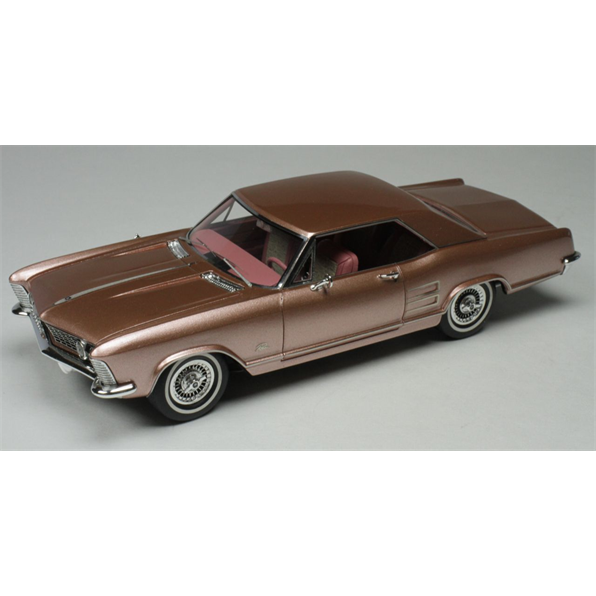 Buick Riviera Rose Mist Poly