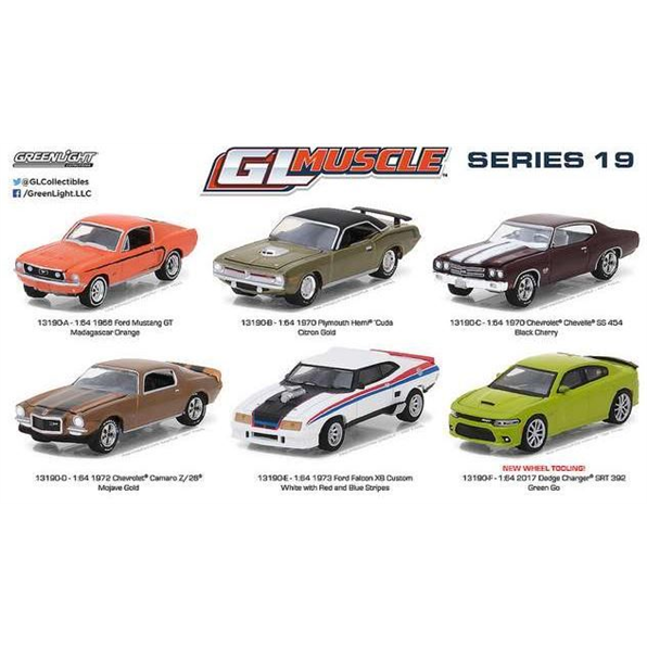 Muscle Series 19 mix box with 12 pcs.