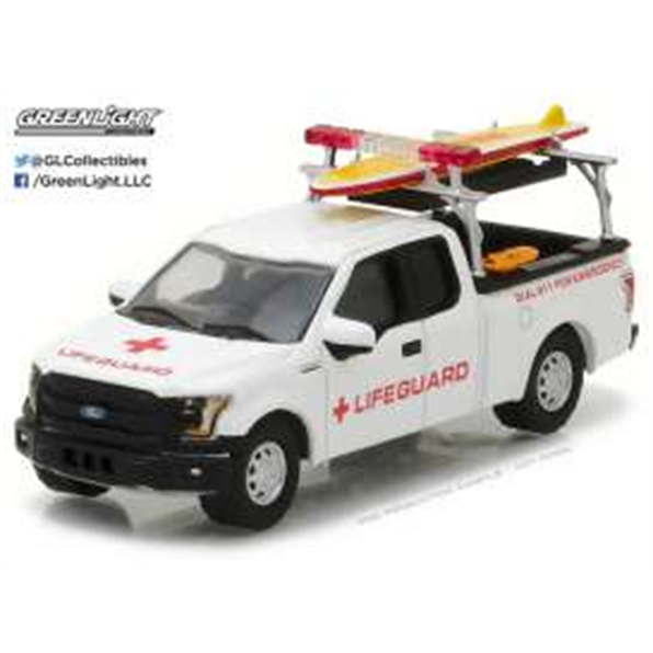 Ford F-150 2016 with Lifeguard Accessories