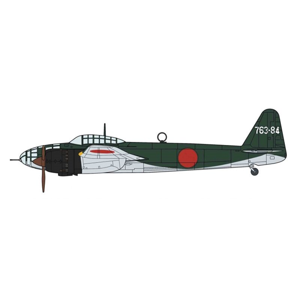 Kugisho P1Y1 Ginga (Frances) Type 11 763rd Flying Group