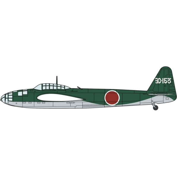 Kugisho P1Y1-S Ginga Type11 Night Fighter '302nd Flying Group'