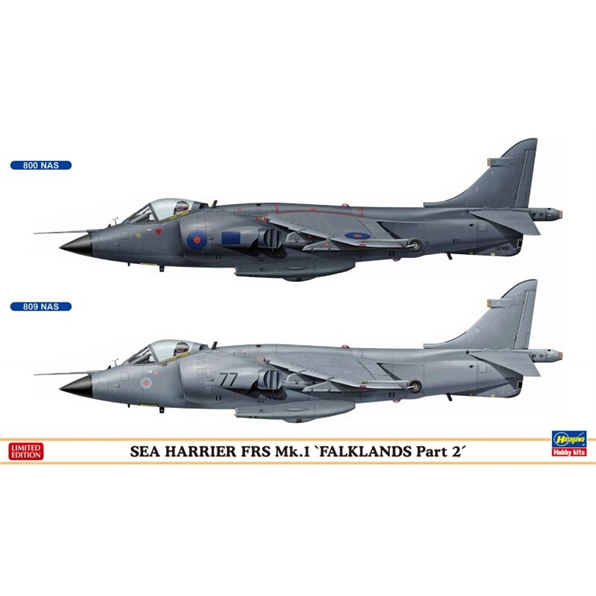 Sea Harrier FRS Mk.1 Falklands Part 2 Twin