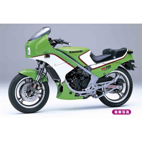 Kawasaki KR250 (KR250A)