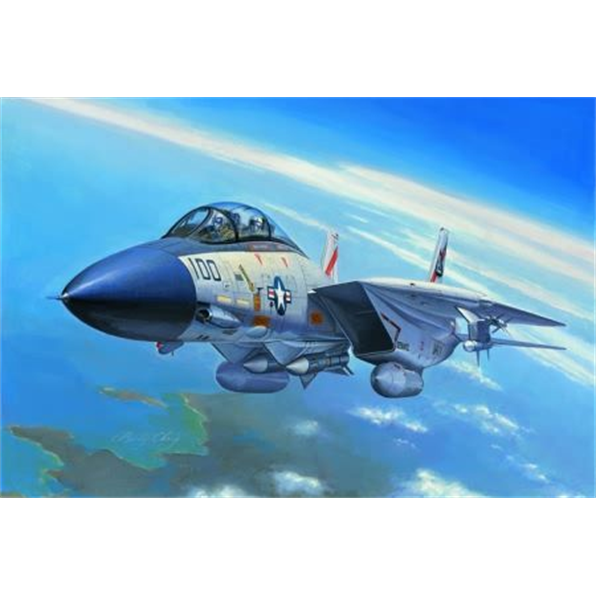 F-14a Tomcat