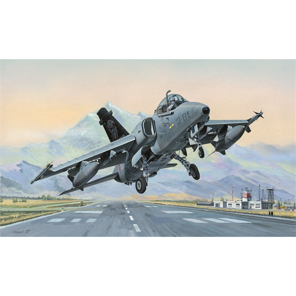 AMX Ground Attack Aircraft