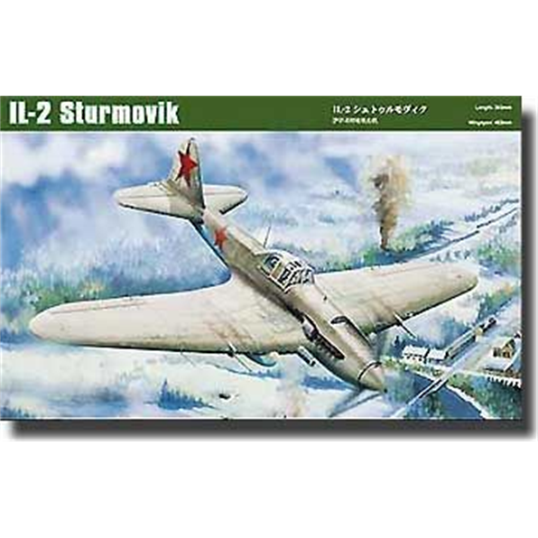 IL-2 Ground Attack Aircraft