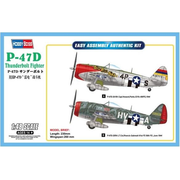 P-47D Thunderbolt Fighter