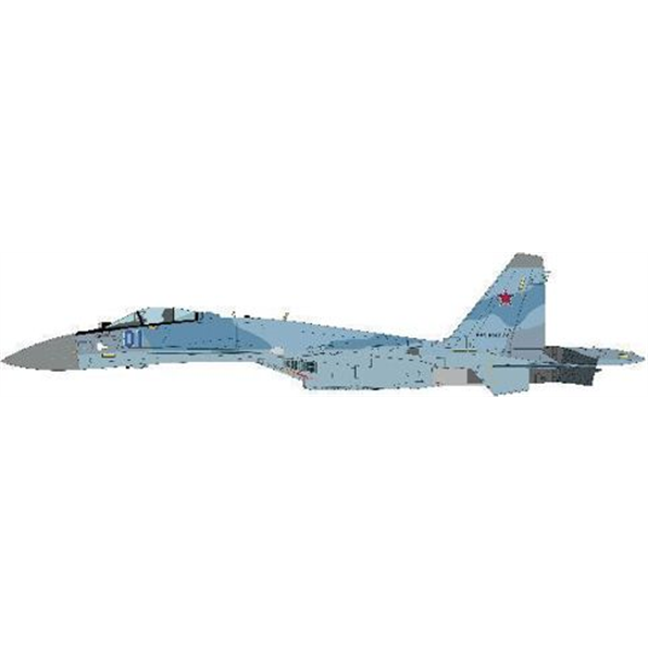 Su-35S Flanker E Aggressors Blue 01 116th Combat Training Center of Fighter Aviation
