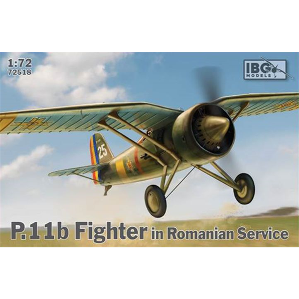 P.11b Fighter in Romanian Service