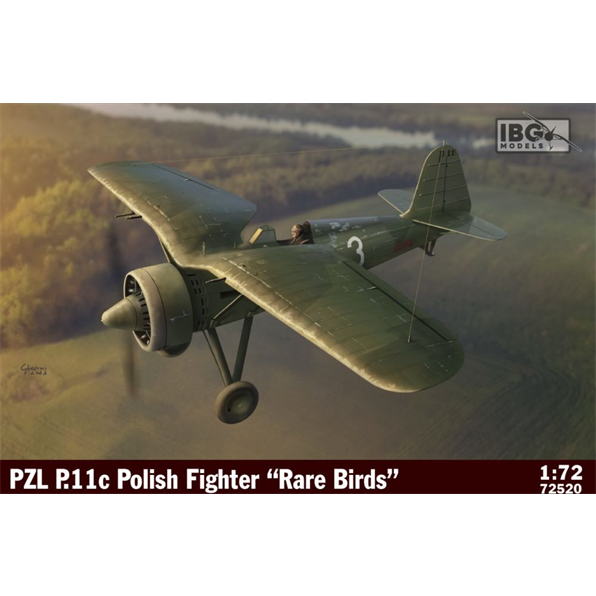 PZL P.11c Polish Fighter Rare Birds