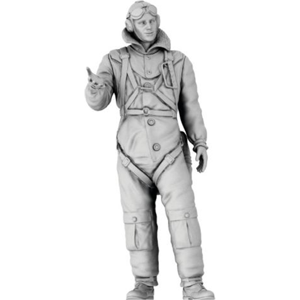 Polish Air Force Pilot 1939 (3D Printed Figure)