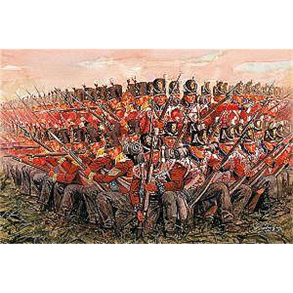 Napoleonic Wars British Infantry 1815