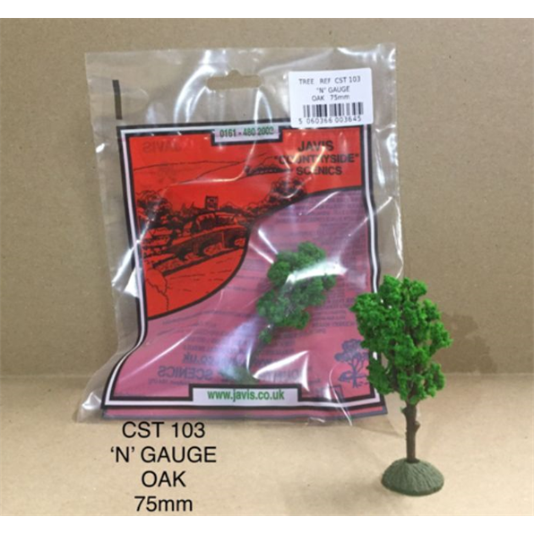Oak Trees (x3) 'N'