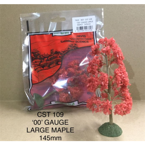 Maple Trees (x3) 'OO'