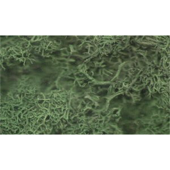 Dark Green Lichen (x12)