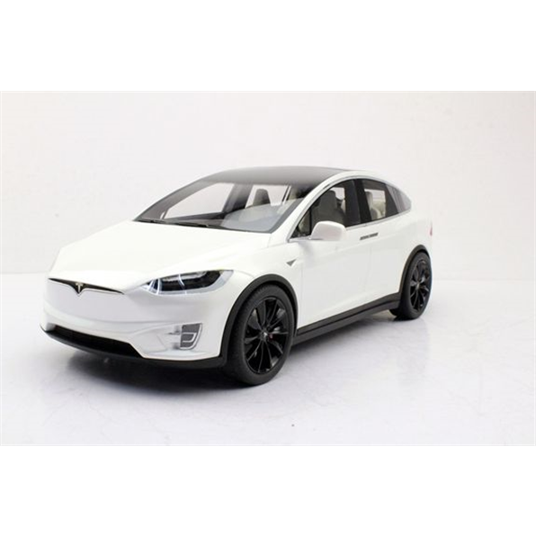 Tesla Model X White