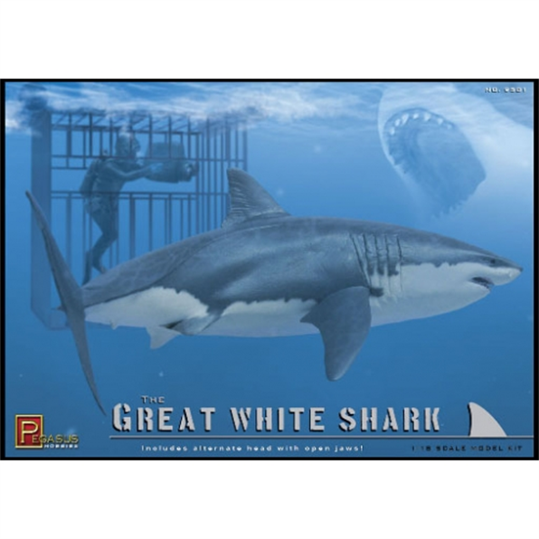 Great White Shark with Diver in Cage