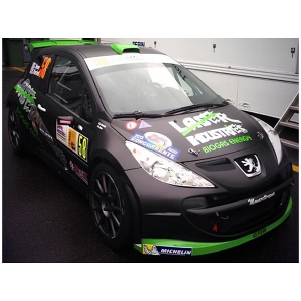 Peugeot 207 S2000 #58 C.Breen/S.Marshall Monza Rally Show 2013 (Limited 999pcs)
