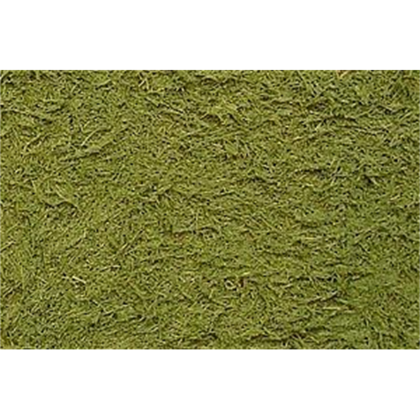 Texture Paint - Grass Green