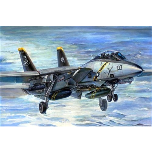 F-14B Tomcat (Bombcat)